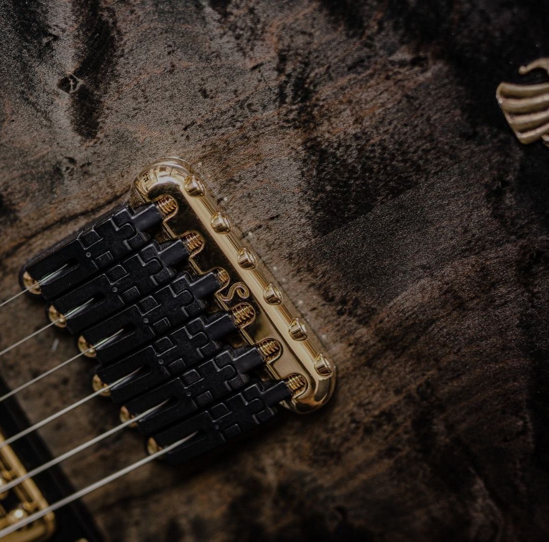 Gitarre, Service, Zubehör, Servicewerkstatt, Werkstatt, Sonderanfertigung, Sonderangebote, Saiten, Gitarrensaiten, Korpus, Steg, Arbeit, Kreativität, kreativ, Musik, Musikzubehör, Hals, Halsbrüche, Neudundierung, Bünde, Pick Ups, Mechanikn, Teillackierung, Lackierung, Griffbrett, Holzarbeiten, Label, Guitar, Flensburg, Mansfeld, Center, Guitar-Center