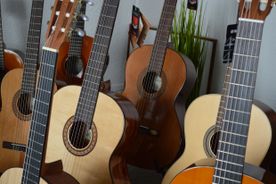 Gitarre, Service, Zubehör, Servicewerkstatt, Werkstatt, Sonderanfertigung, Sonderangebote, Saiten, Gitarrensaiten, Korpus, Steg, Arbeit, Kreativität, kreativ, Musik, Musikzubehör, Hals, Halsbrüche, Neudundierung, Bünde, Pick Ups, Mechanikn, Teillackierung, Lackierung, Griffbrett, Holzarbeiten, Label, Guitar, Flensburg, Mansfeld, Center, Guitar-Center